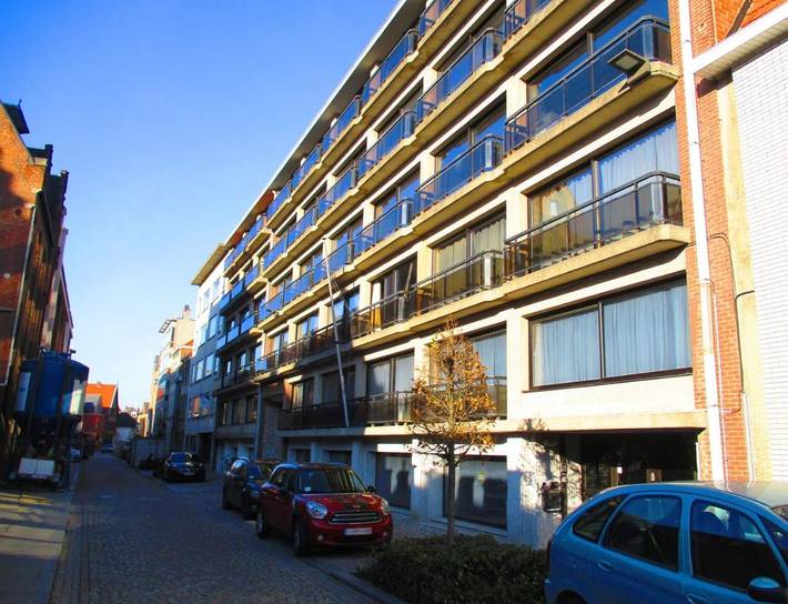 Gîte pour 3 personnes, avec jardin et terrasse, animaux acceptés à Malines