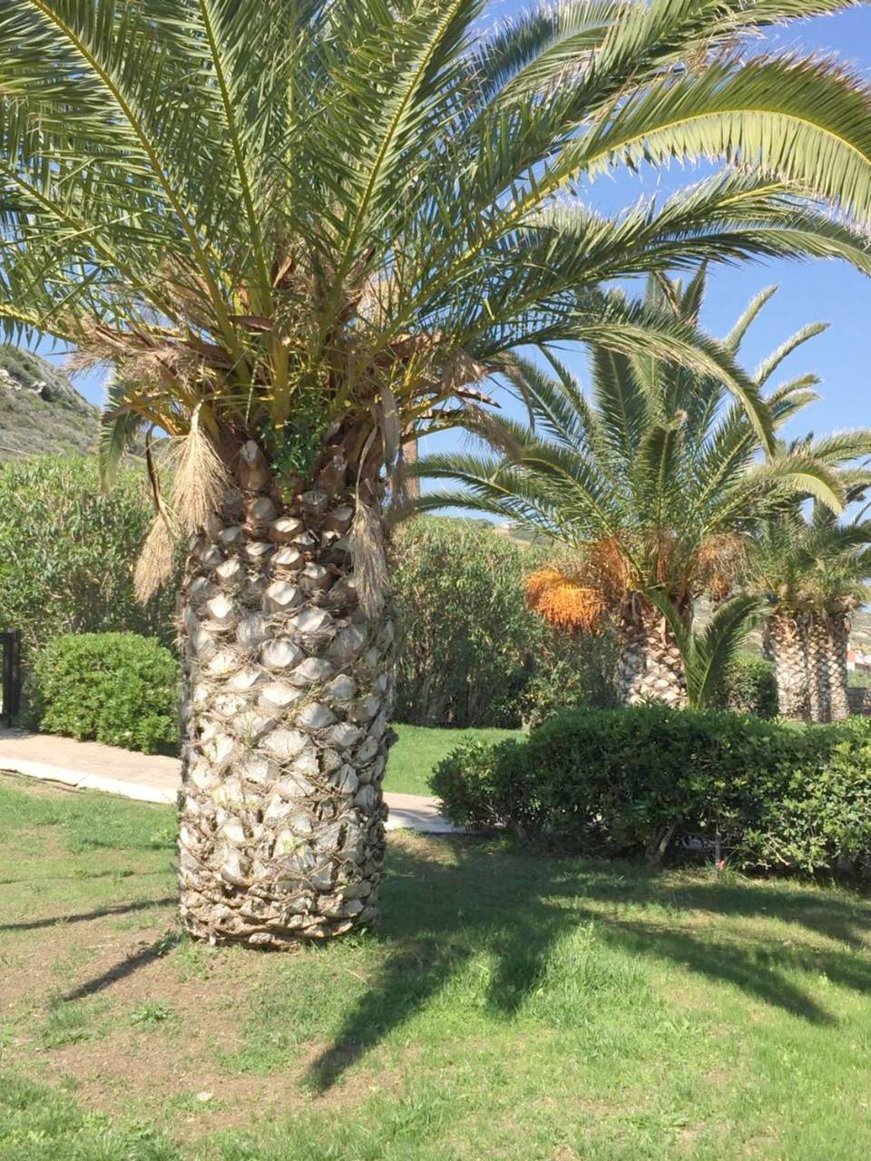 Bungalow Musuri in Lasithi en omgeving