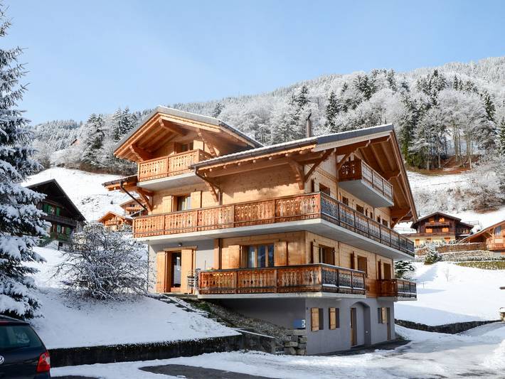 Chalet for 20 people, with view and sauna as well as terrace in Switzerland