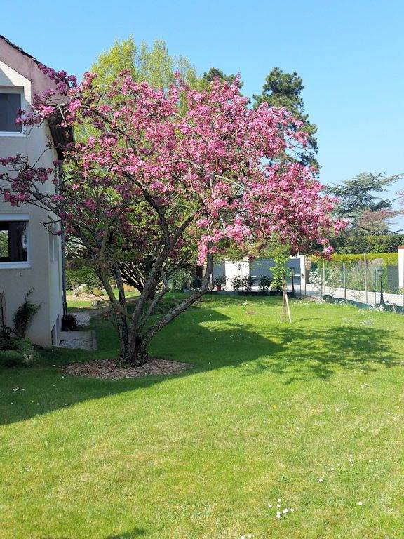 Paris Côté Jardin - Chambre 1 in Chalifert, Seine-et-Marne