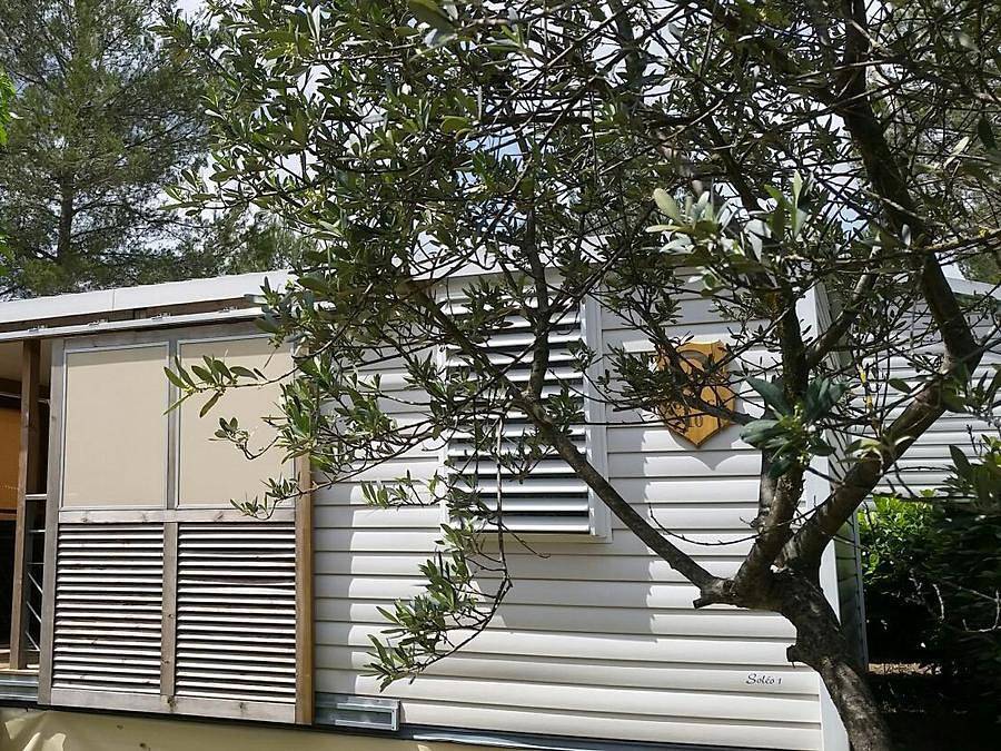 Flower Camping Domaine Villa Verde - Mobilhome 2 personas - Mobilhome Cabane - 1 habitación Aire acondicionado 2 pers in Callas, Region de Draguignan