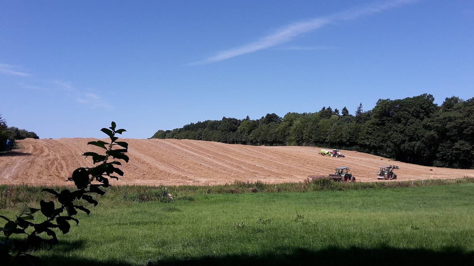 Ganze Wohnung, Gemütliche Fewo auf dem Resthof in Ahrensbök, Ostholstein