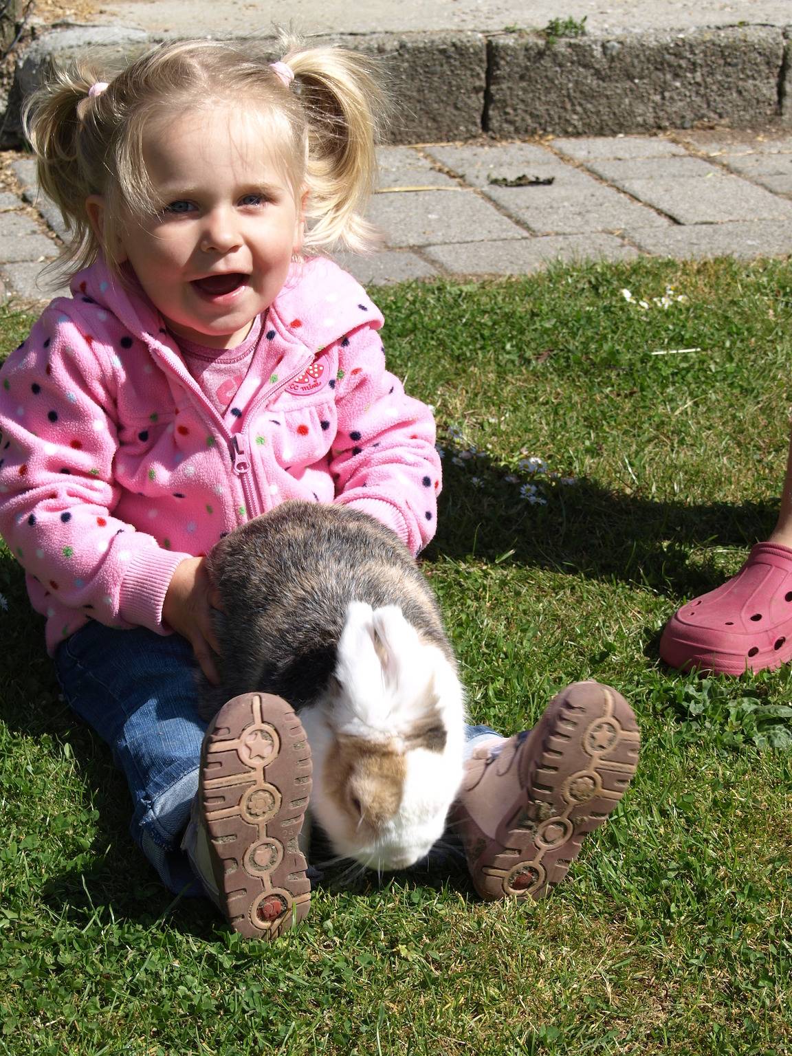 Haus im Apfelgarten 1 in Bojendorf, Fehmarn