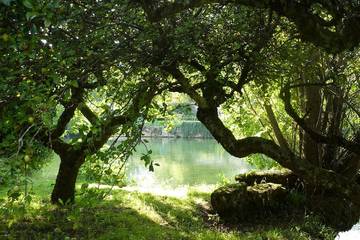 Gîte pour 3 personnes, avec terrasse à Ornans