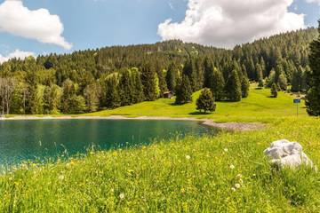 Hotel für 4 Personen, mit Terrasse und Ausblick, mit Haustier in Jungholz