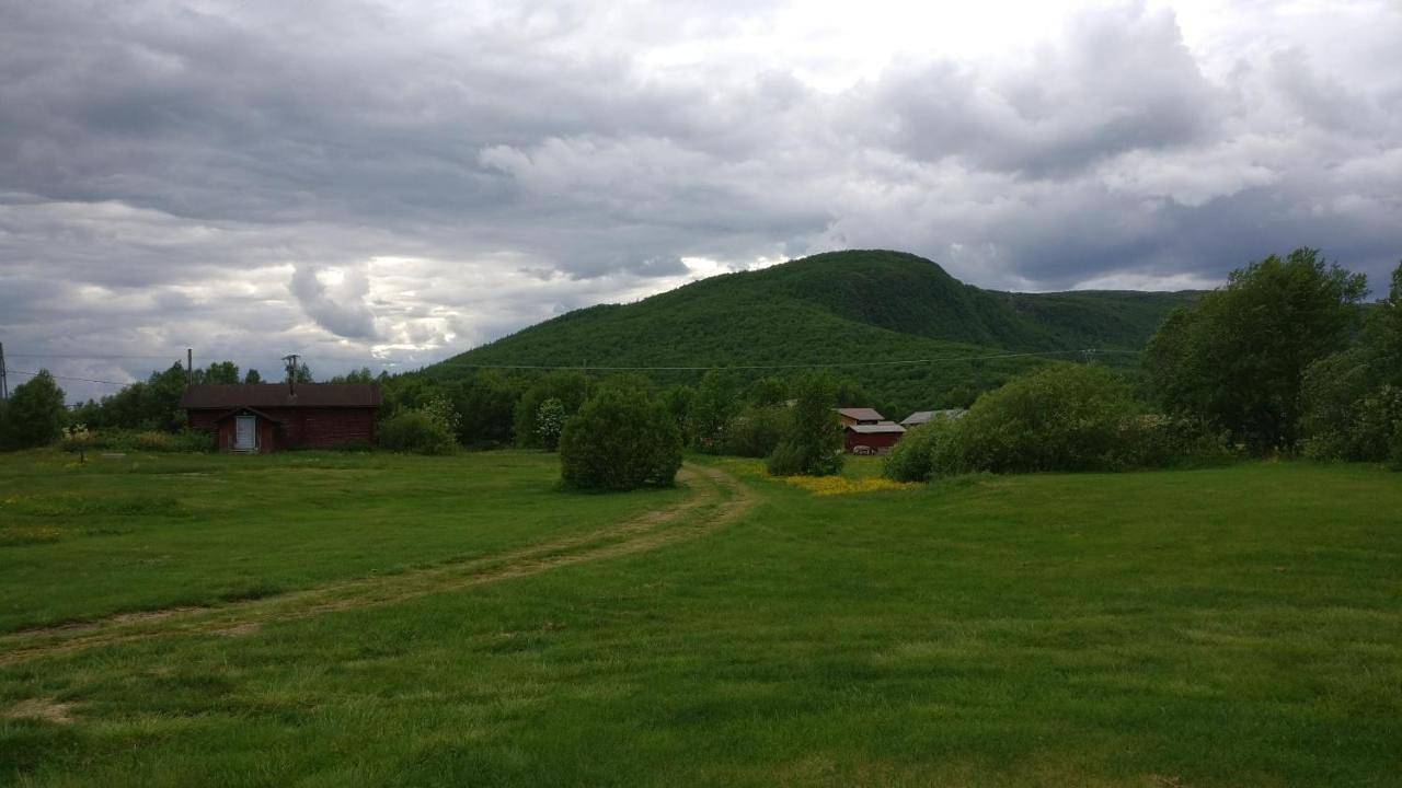 Vetsituvat in Laponia