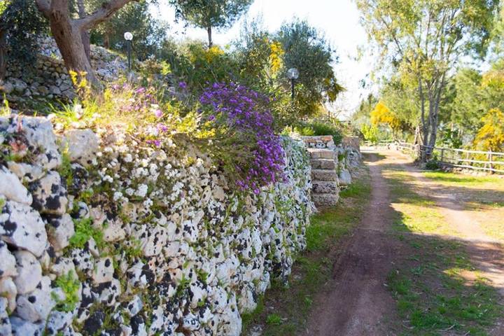 Maison de campagne pour 5 personnes, avec vue et jardin à Specchia - 3