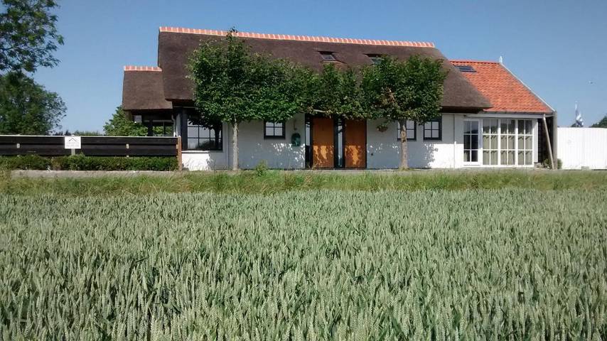 Ferienhaus für 14 Personen, mit Balkon/Terrasse und Terrasse in Cadzand