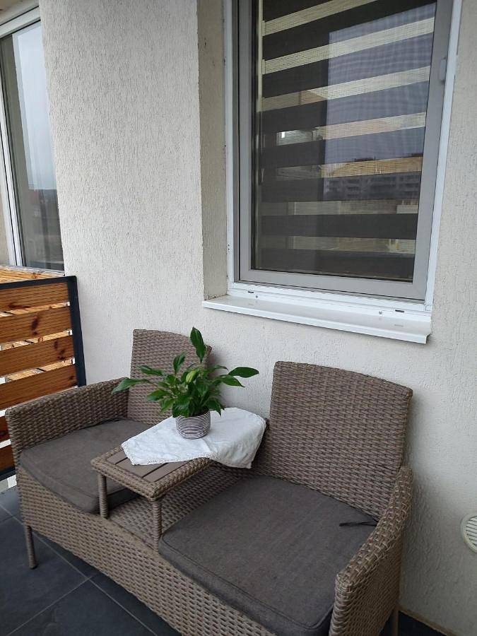 Gîte pour 3 personnes, avec vue et balcon dans Mureș - 3