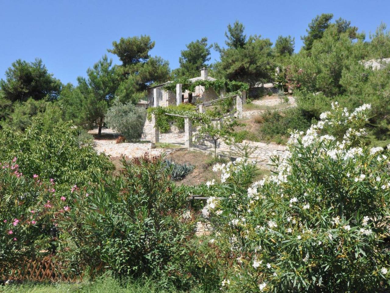 Studio mit Blick auf das Wasser in Limenaria, Thassos
