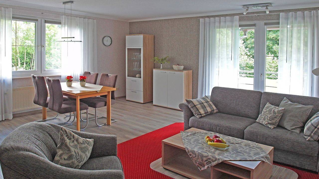 Ganze Ferienwohnung, Ferienwohnung für 6 Personen (110 m²) in Willingen (Upland) in Schwalefeld, Willingen
