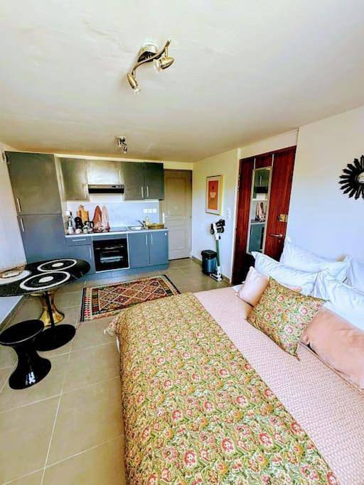 Appartement entier, One-Bedroom Apartment in Corte, Parc naturel régional de Corse