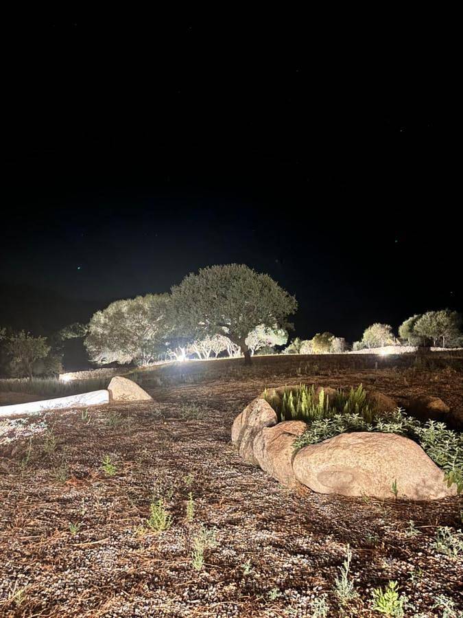 Location de vacances pour 2 personnes, avec Terrasse ainsi que Jardin et Piscine à Sant'Antonio di Gallura - 4