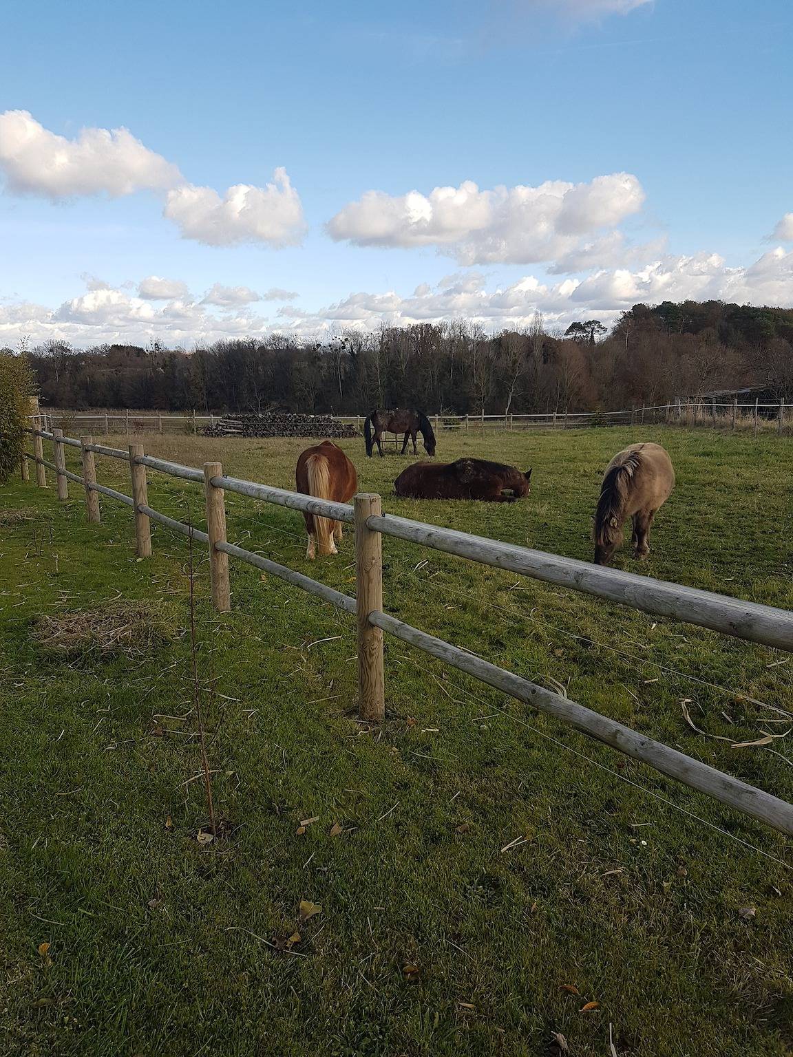 Gîte De La Martinière : terrasse privée, jardin, Wi-Fi à Vallières-les-Grandes in Vallières-les-Grandes, Région de Blois