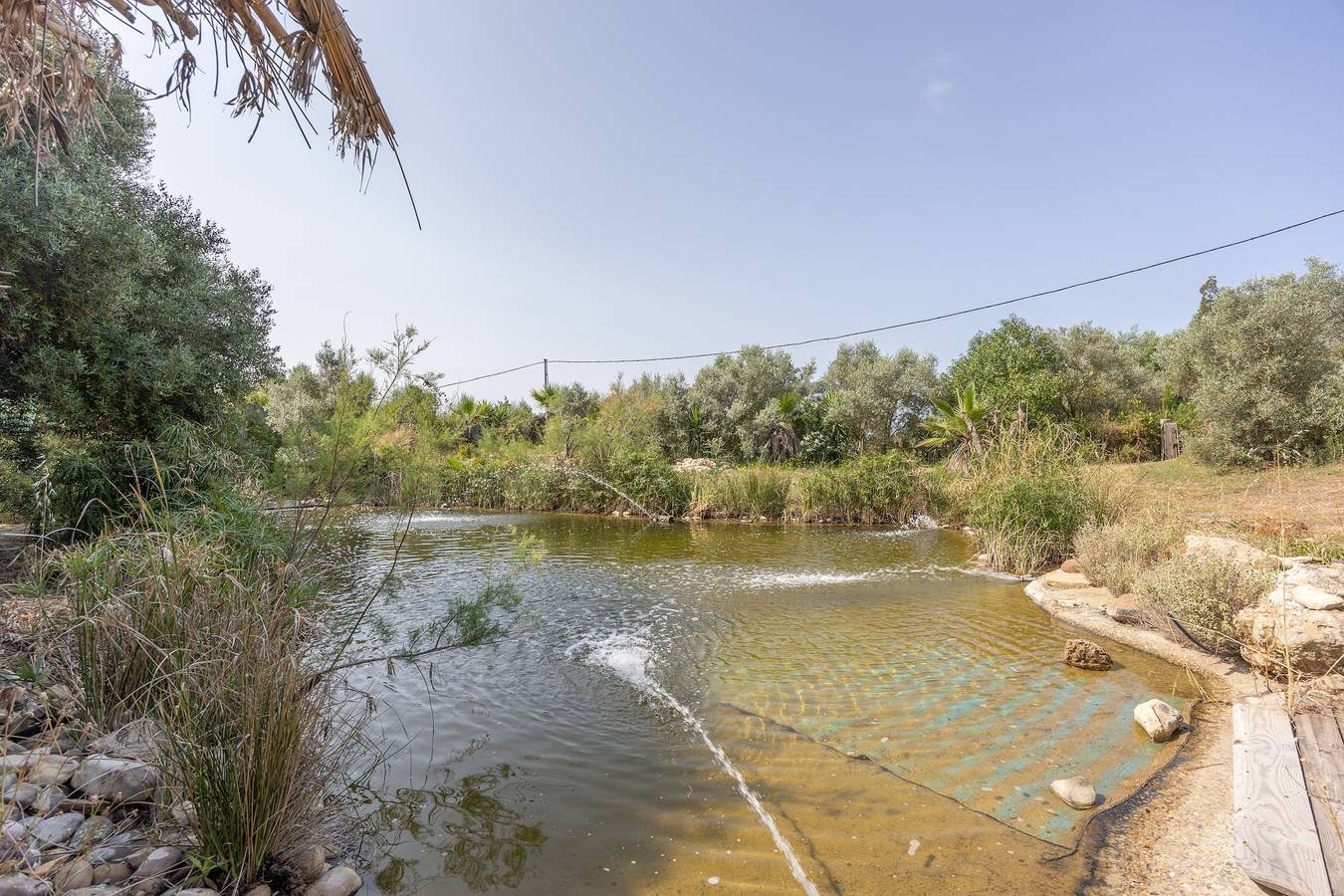 Casa rural 'Casaleja' mit Seeblick, Wlan und Klimaanlage in Jerez de la Frontera, Cádiz Provinz