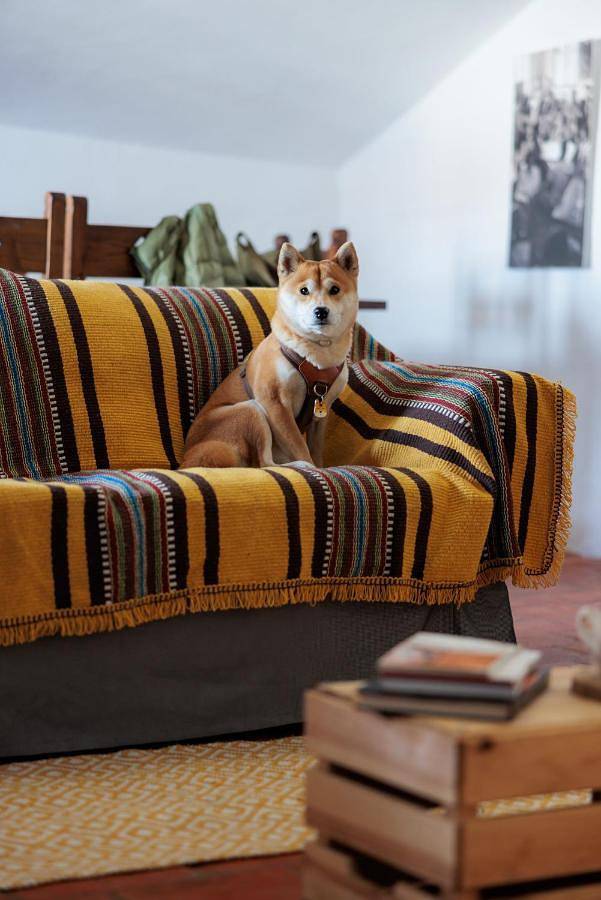 Location de vacances pour 7 personnes, avec vue et balcon, adapté aux familles à Portalegre - 4