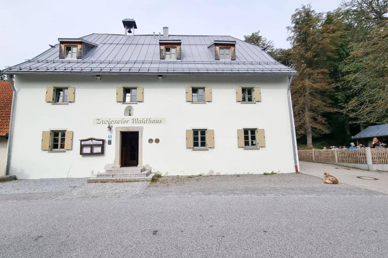 Schoenes 1 Zimmer, Sauna, Nationalpark, Free Parking in Lindberg, Šumava Mountains