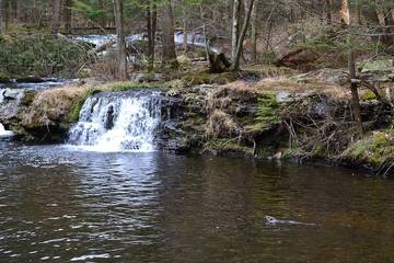 Log Cabin for 2 People in Pocono Mountains, Pennsylvania, Photo 2