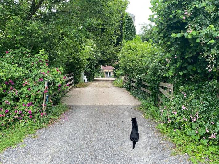 Location de vacances pour 2 personnes, avec jardin à Fretigney-et-Velloreille - 2