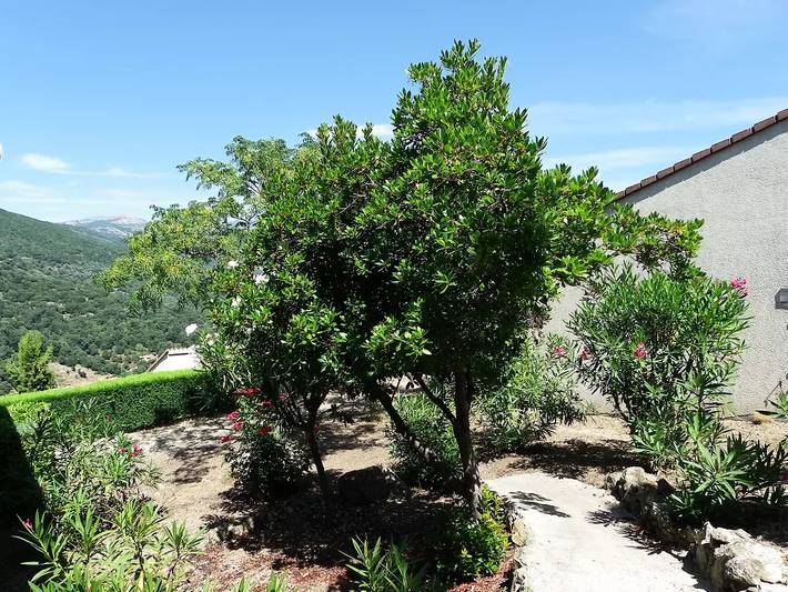 Villa für 6 Personen auf Korsika - 4