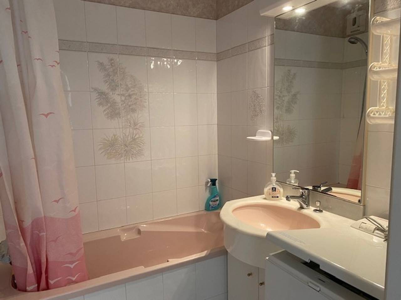 Ganze Wohnung, **Gemütliche 2-Zimmer Wohnung mit Westbalkon, 150m zum Strand, Aufzug, Parkplatz, Wlan** in Les Sables-d'Olonne, Vendée