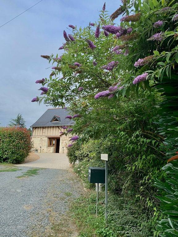 Le Logis de la Chouette - Chambre mint in Bocé, Vallée de la Loire