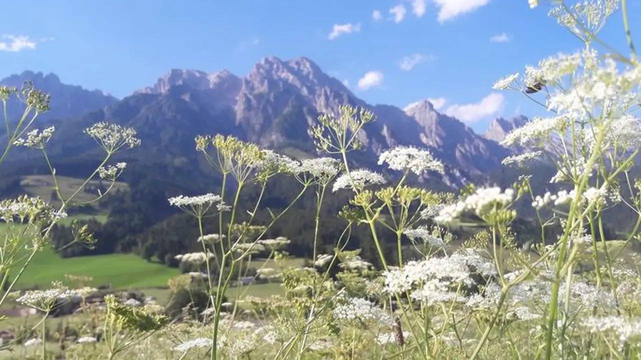 Geheel vakantieappartement, Vakantieappartement voor 2 personen met terras in Leogang, Pinzgau