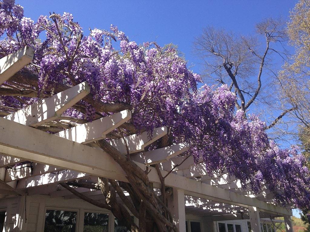 Exklusive Kutschenhaus, Historic District, Fünf-Sterne-Unterkünfte! in Pinehurst, Moore County