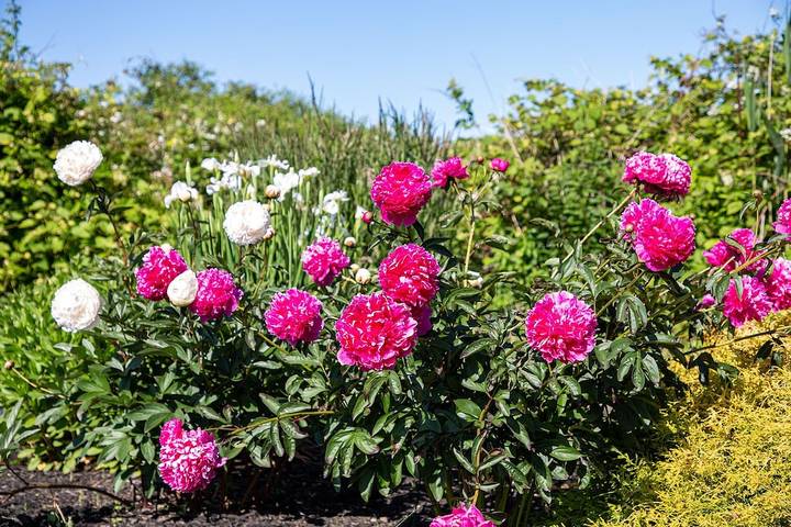 Vacation rental for 12 people, with yard and terrace in Narragansett