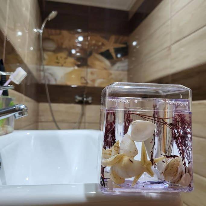 Appartement entier, Стела 2 in Roussé, Bulgarie