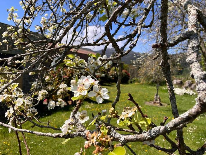 Casa rural para 2 personas, con vistas además de balcón y jardín en Ribadesella - 2