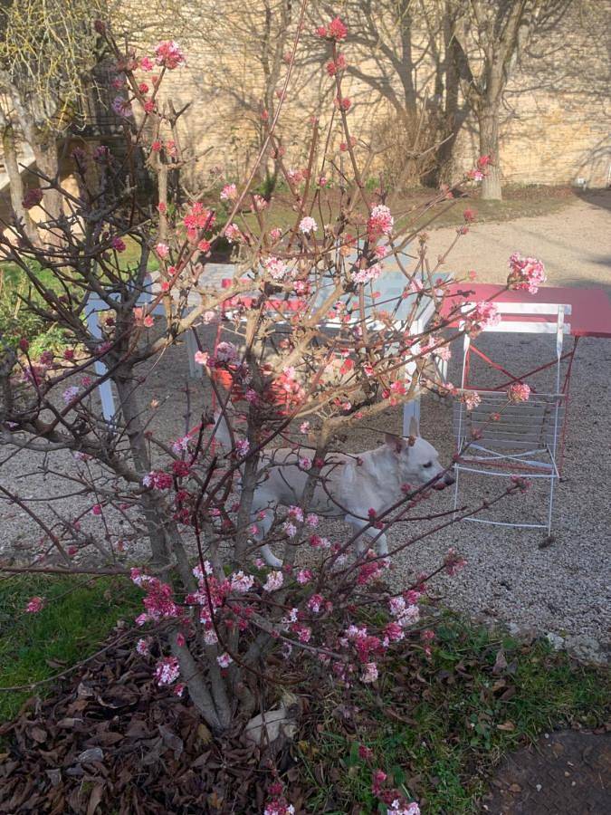 Location de vacances pour 10 personnes, avec jardin et vue, animaux acceptés à Noyers - 3