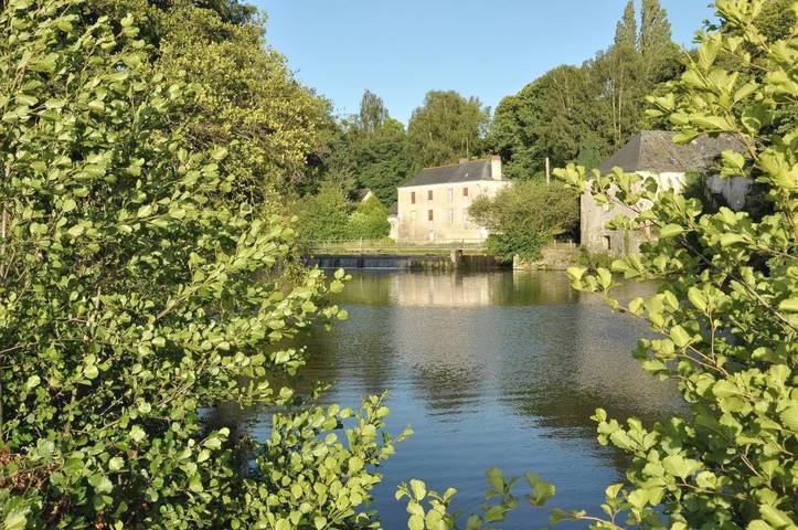 Location de vacances pour 3 personnes, avec jardin et terrasse dans Segré-en-Anjou-Bleu - 2