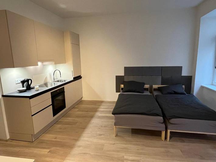 Apartahotel para 4 personas, con terraza, Se admiten mascotas en Viena