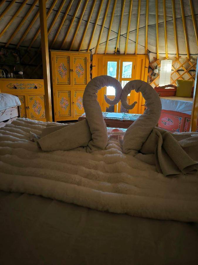 Yurt (5 persons) in La Bastide, Parc naturel régional du Verdon