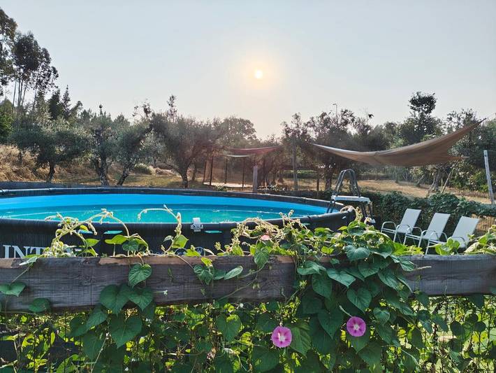 Casa de férias para 4 pessoas, com Terraço e Jardim e ainda Piscina and Vista em Município de Sertã