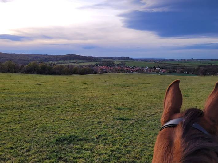 Bauernhaus für 3 Personen, mit Ausblick und Garten sowie Terrasse, kinderfreundlich in Sachsen-Anhalt - 3