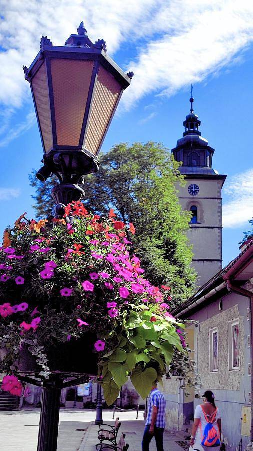 Willa dla 13 osób, z widok i sauna oraz ogród w Beskidy