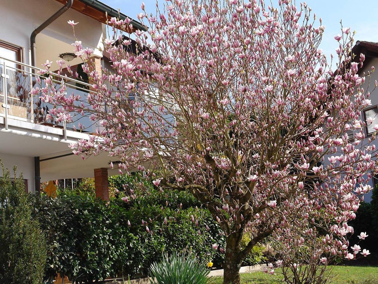 Ganze Ferienwohnung, Puppenstübchen - Whg 3 in Seelbach, Mittlerer Schwarzwald