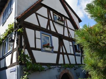 Ferienhaus für 4 Personen, mit Garten und Terrasse, kinderfreundlich in Hambach (Neustadt)