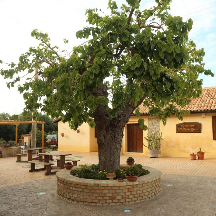 Appartamento per 6 persone, con Giardino a Cariati