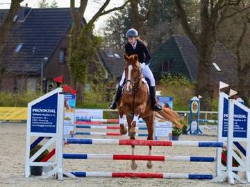Ferienwohnung für 5 Personen in Selk, Haithabu, Bild 2