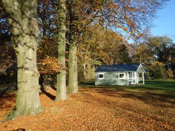 Lodge für 4 Personen in Assen, Drenthe, Bild 1