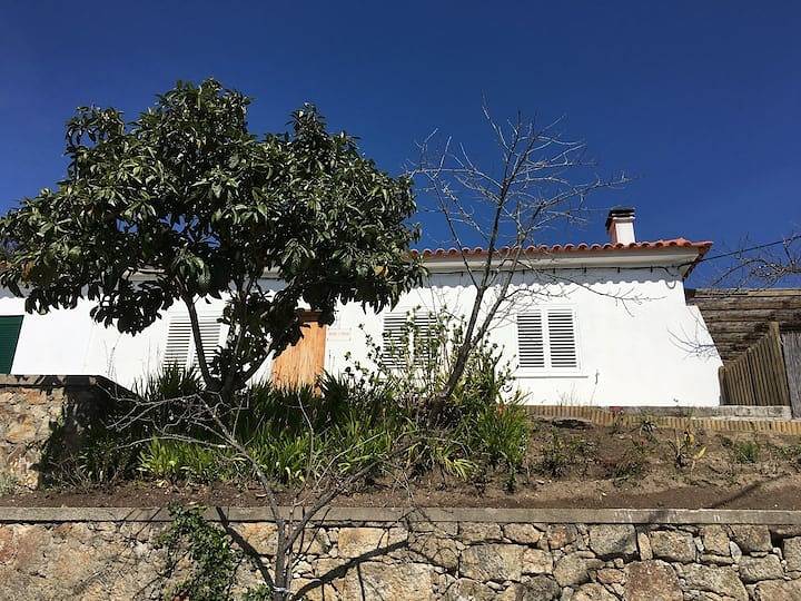 Nature's Haven Retreat in Pedrogao Pequeno, Aldeias do Xisto
