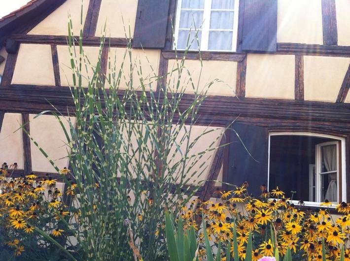 Location de vacances pour 2 personnes, avec terrasse à Illkirch-Graffenstaden - 4