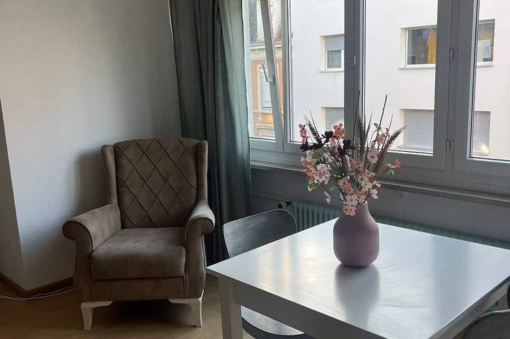 Ganze Wohnung, Gemütliche für die Familien oder Urlauber in Basel, Region Basel RDK