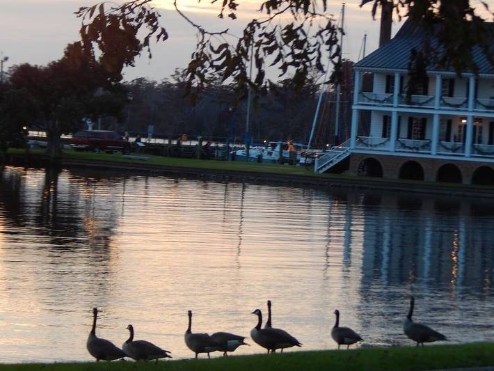Bed and breakfasts for 4 people, with garden in North Carolina