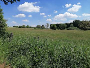 Dom dla 4 osoby w Steinen (Westerwald), Westerwald, Zdjęcie 4