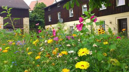 Ferienwohnung für 4 Personen, mit Garten und Pool in Struppen