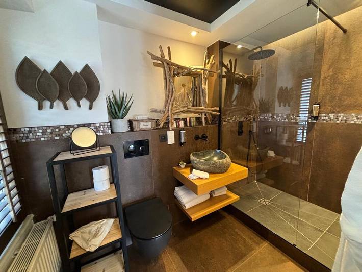 Hôtel pour 5 personnes, avec sauna et jardin à Cruseilles - 3